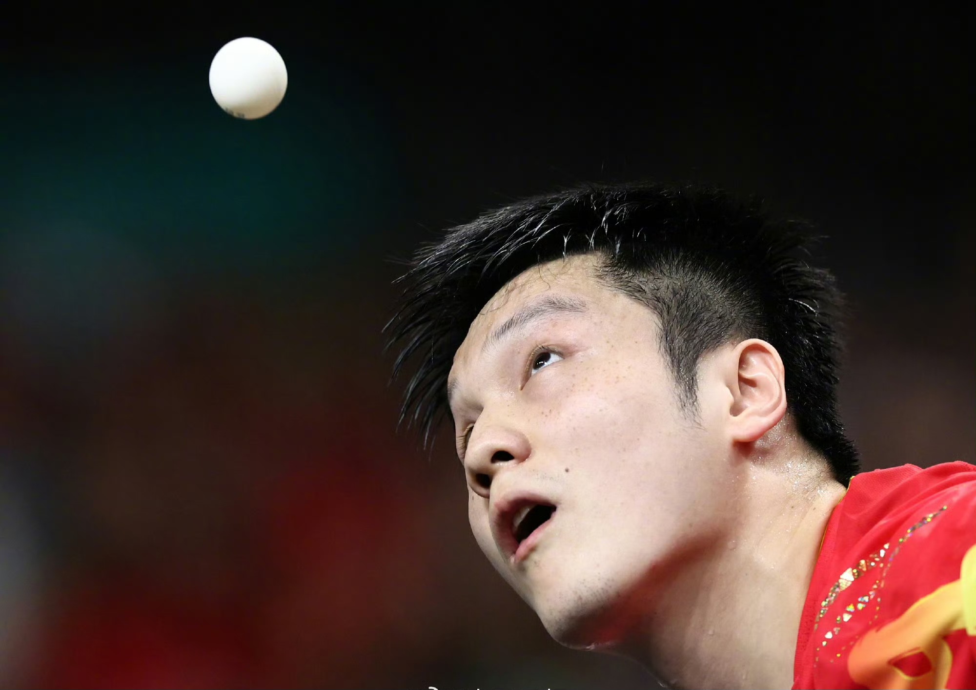 英国乒乓球队鏖战波兰乒乓球队，樊振东完成帽子戏法的简单介绍