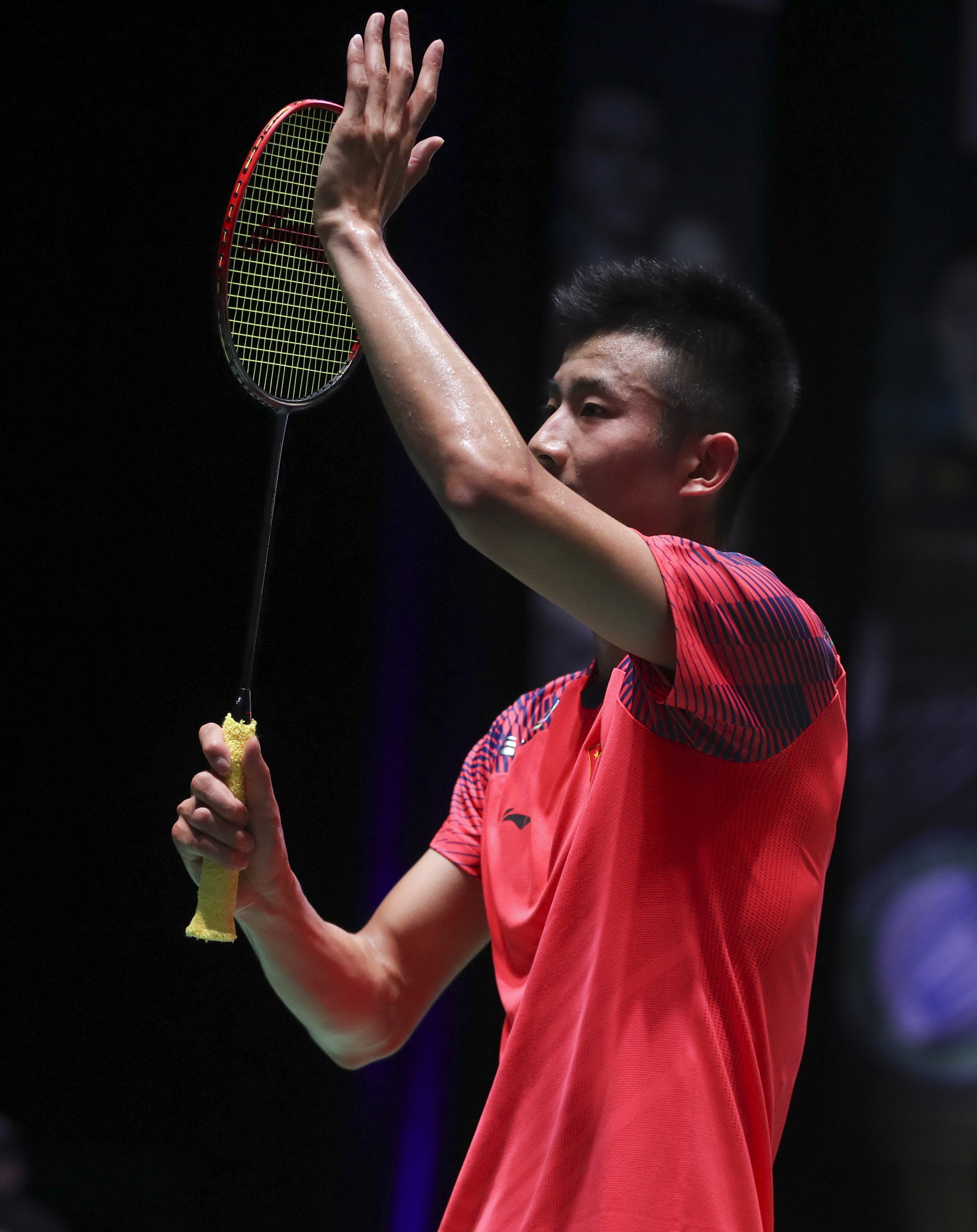 法国羽毛球队力克马来西亚羽毛球队，谌龙惊艳世界的简单介绍